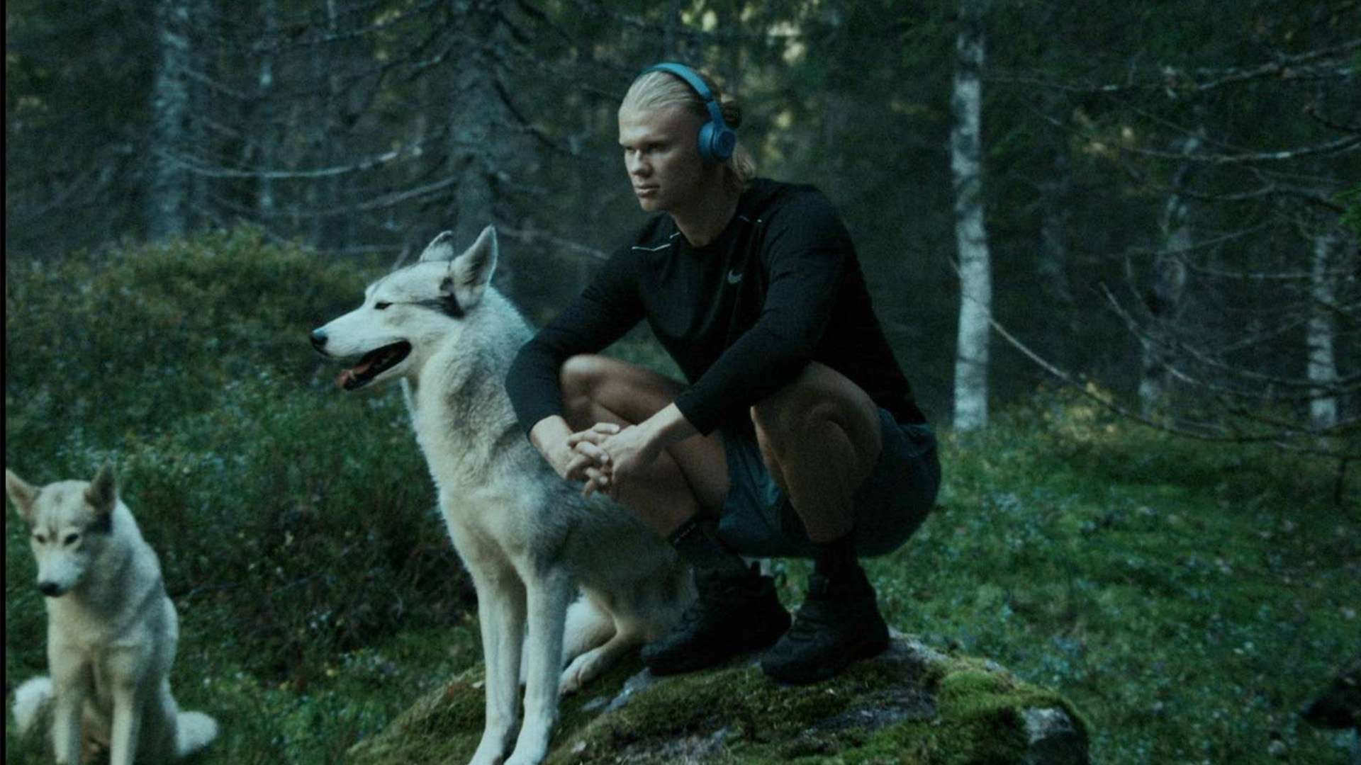 ATP总决赛：阿尔卡拉斯2-0完胜阿利亚西姆，将与辛纳争冠！