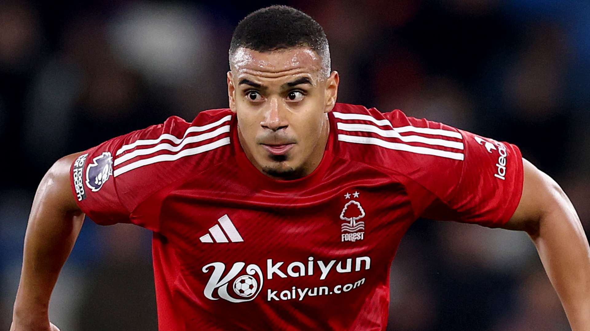 双方实力相 双方实力相